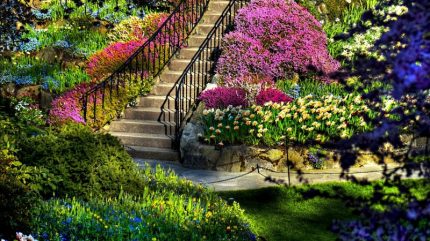 أيَّام و سنين  عظة للأخ / رشاد ولسن  Beautiful-flower-garden-simple-landscaping-ideas-also-flowers-house-trends-mixture-colorful-pinkish-violet-color-800x450